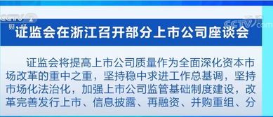推動各方齊抓共管，共同提升上市公司質量——新材料技術推廣服務的戰略路徑