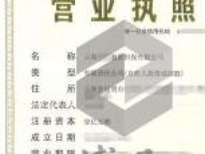 企業注冊與法律咨詢服務全攻略 深圳執照、區塊鏈執照、商業保理執照及重慶法律商務咨詢解析