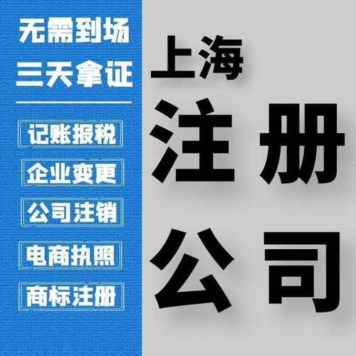 上海普陀區(qū)專(zhuān)業(yè)營(yíng)業(yè)執(zhí)照代辦 財(cái)稅代理價(jià)格優(yōu)惠